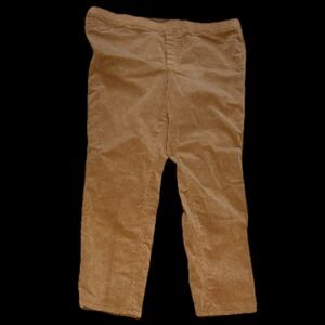 J. Jill Women's Pants Tan Velour Pull On Elastic Waist Size L Petite